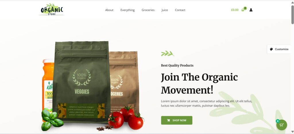 Plantilla Astra para WordPress rápida y optimizada para SEO